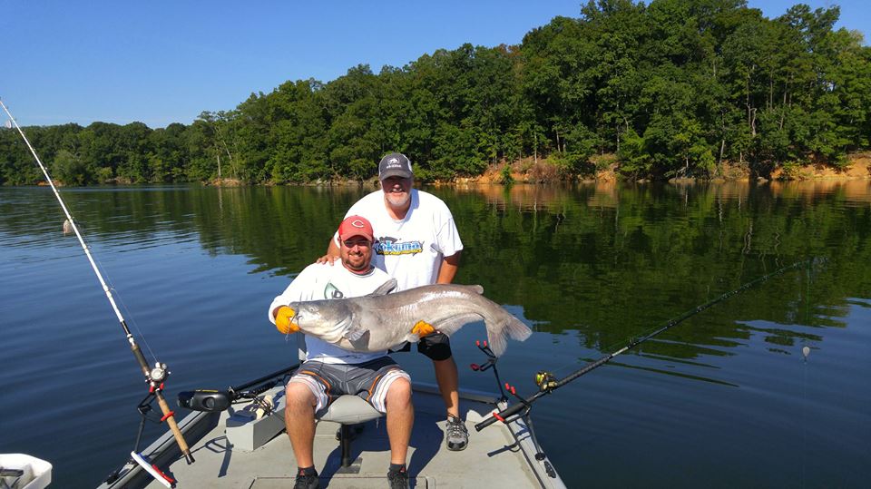 Norris Lake Fishing License, Reports and Guide Services